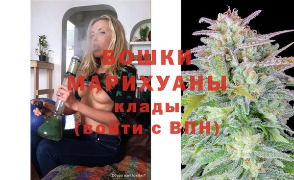 гидра Михайловск