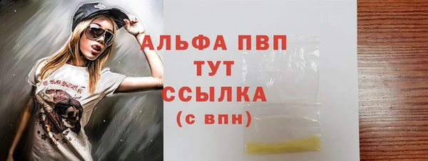 индика Белая Холуница