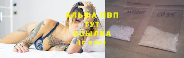 гидра Михайловск