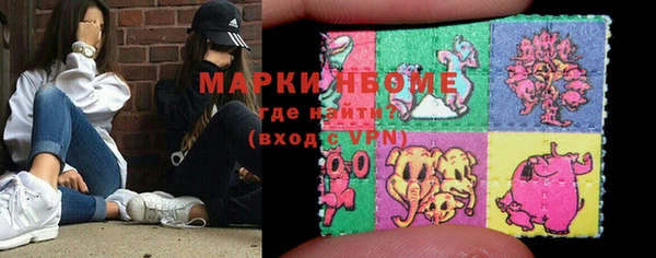 индика Надым