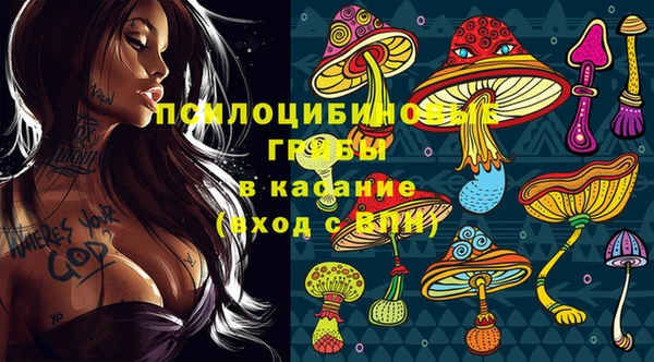 гидра Михайловск