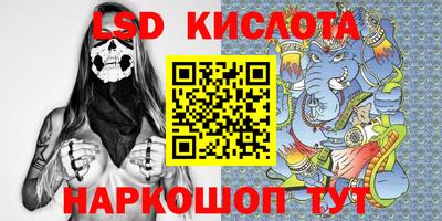 стаф Донской