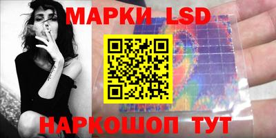 стаф Донской