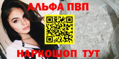 стаф Донской